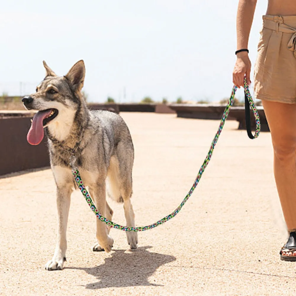 Active Leash