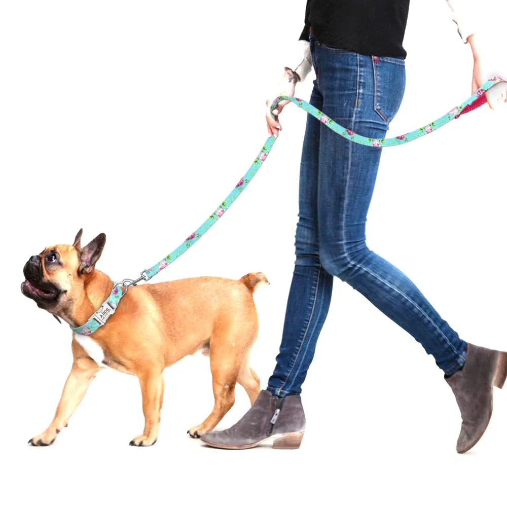 Active Leash