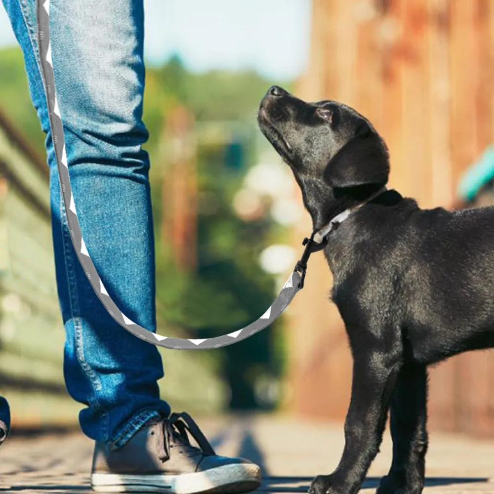 Active Leash