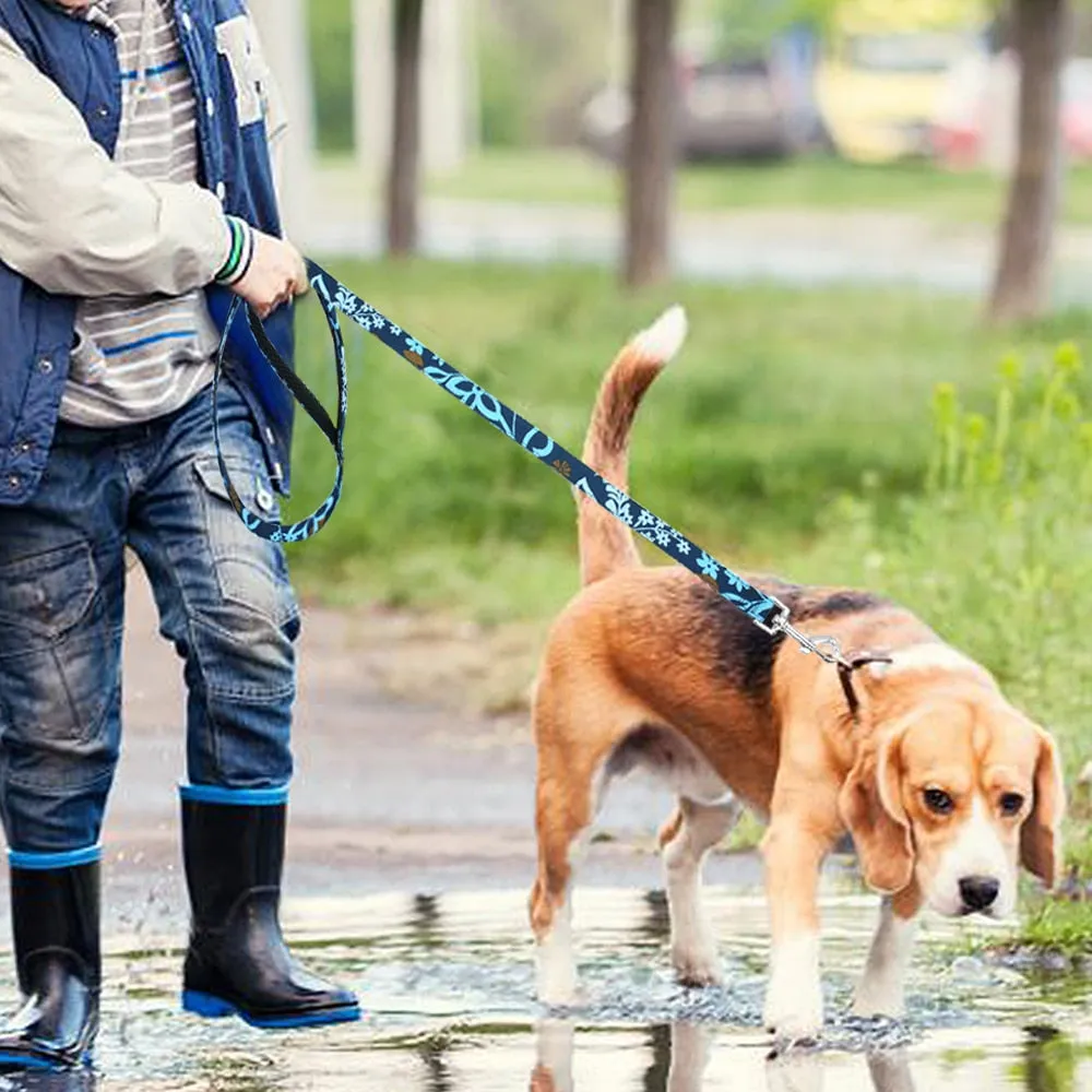 Active Leash